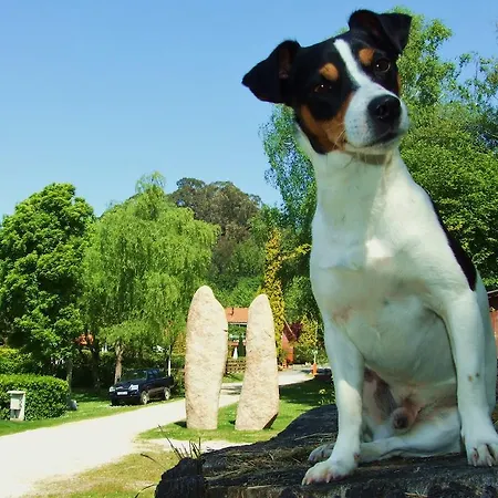 Manzanos サンタ・クルス・デ・オレイロス