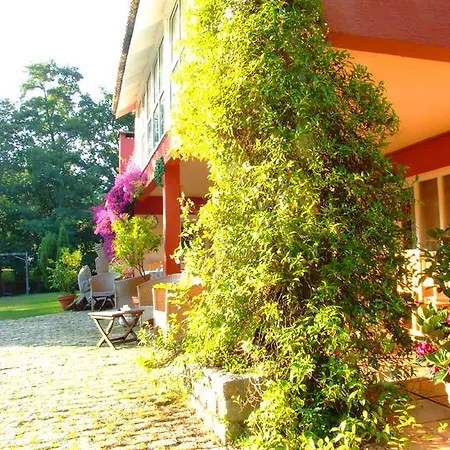 Manzanos Santa Cruz de Oleiros